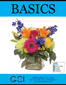 Basics 6 17 26